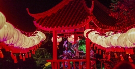Lighting of Osmanthus Gardens - Photo supplied by Hawke's Bay Today