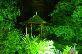 Lighting of Osmanthus Gardens - Lighting of Osmanthus Gardens
