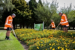 Prestigious Green Flag awards for Havelock North, Cornwall and Flaxmere parks