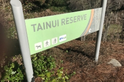 Tainui Reserve