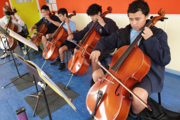 heretaunga cellos
