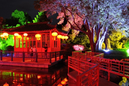 chinese lanterns osmanthus garden