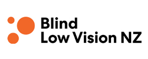Blind Low Vision