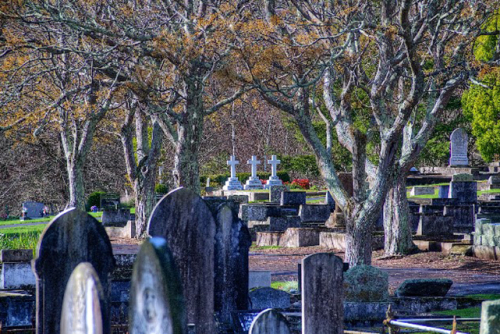 Cemetery Database