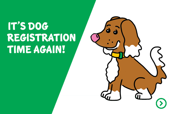 Dog Registration
