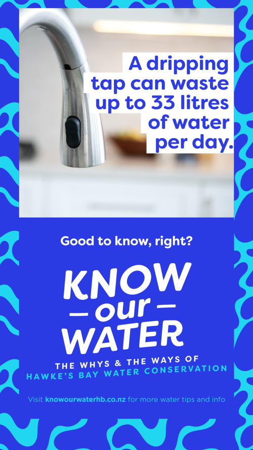 A dripping tap can waste up to 33 litres of water per day.