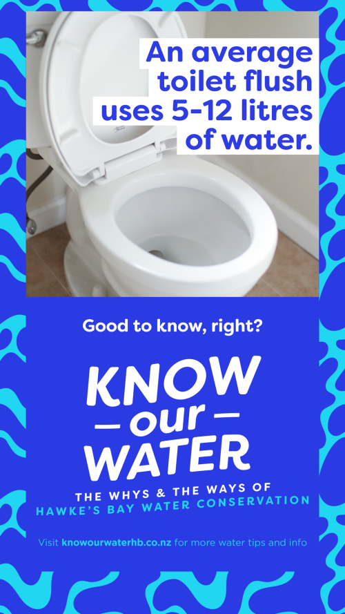 An average toilet flush uses 5-12 litre of water
