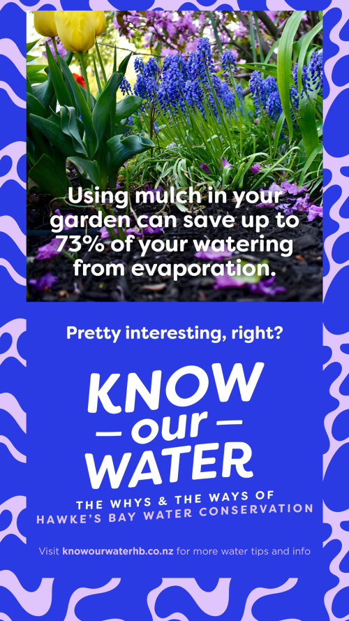 Using mulch in your garden can save up to 73% of your watering from evaporation.